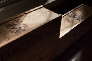 Perfektion in Flaschen, hat ELECTUS das Potential zum Super-Swisswein?