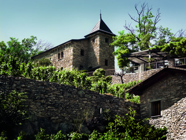 Perfektion in Flaschen, hat ELECTUS das Potential zum Super-Swisswein?