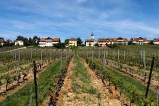 The La Côte convinced also in international competitions