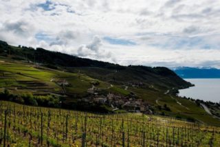 The La Côte convinced also in international competitions