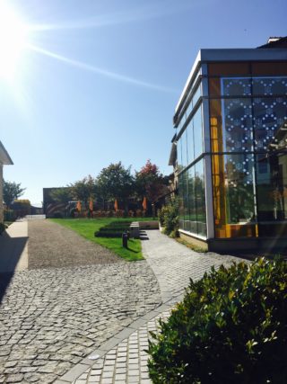 Veuve Clicquot, in the footsteps of champagne