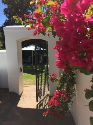 South Africa: travel luxuriously through the wine region Part 1