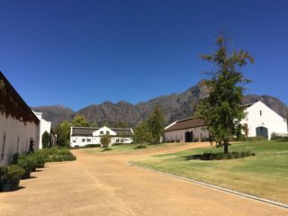 South Africa: travel luxuriously through the wine region Part 3