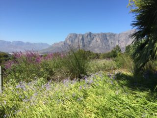 South Africa: travel luxuriously through the wine region Part 3