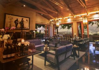South Africa: travel luxuriously through the wine region Part 3